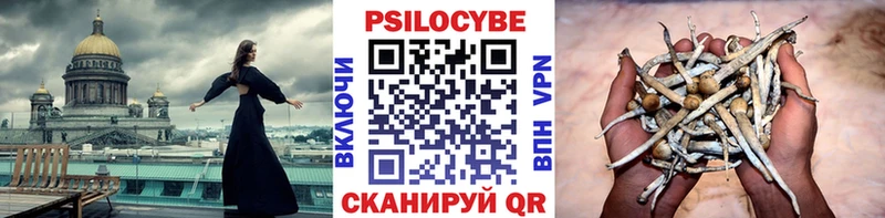 KRAKEN зеркало Осинники Галлюциногенные грибы прущие грибы